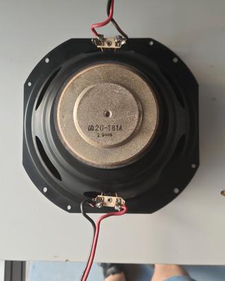 subwoofer Pioneer 100W doppia bobina