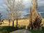 Immagine 14
