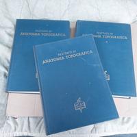 Anatomia Topografica UTET