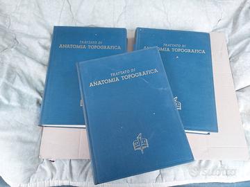 Anatomia Topografica UTET