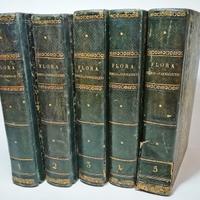 FLORA MEDICO-FARMACEUTICA - CASSONE FELICE 1847-52