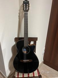 Chitarra Acustica Eletrrificata