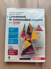 Lineamenti di matematica azzurro 1
