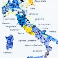 Direttore Operativo Sviluppo Ristorante Pub Bar