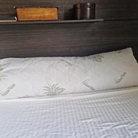 Cuscino in Aloe Vera