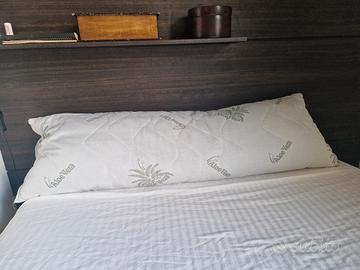 Cuscino in Aloe Vera