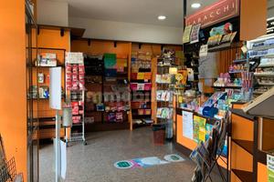 Tabaccheria, ricevitoria lotto, slot machine
