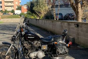 Harley davidson sportster 883