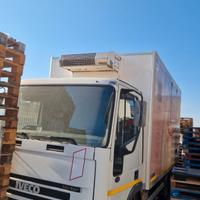 Autocarro Iveco Tector cella frigo