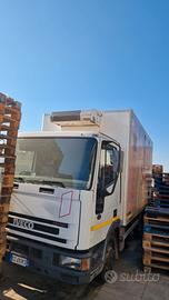 Autocarro Iveco Tector cella frigo