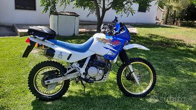 HONDA DOMINATOR