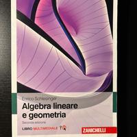 Algebra lineare e geometria - 9788808520692