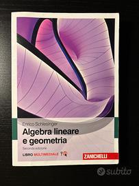 Algebra lineare e geometria - 9788808520692