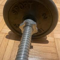 Carnielli Bilanciere con dischi in ghisa