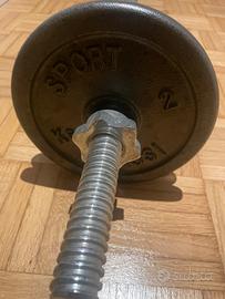 Carnielli Bilanciere con dischi in ghisa