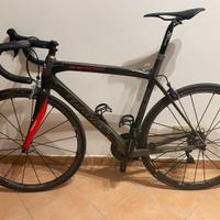 Wilier GT granturismo