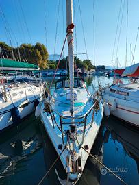 Nicholson 30