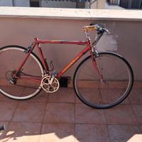 bici da corsa Longoni e telaio Scanziani