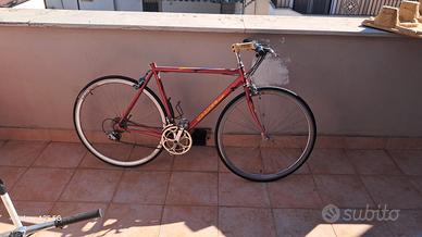 bici da corsa Longoni e telaio Scanziani