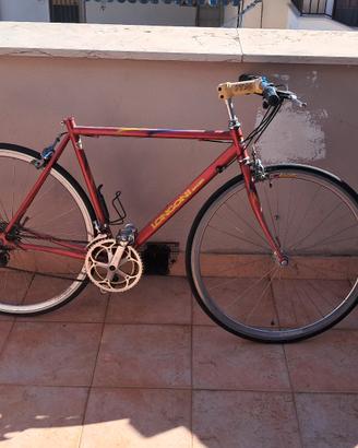 bici da corsa Longoni e telaio Scanziani