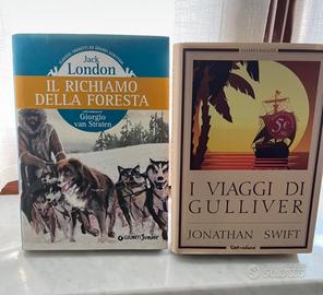 Lotto due libri