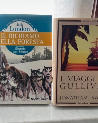 Lotto due libri
