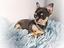 Immagine 3