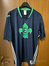 Lebron James NBA player t-shirt Adidas performance