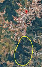 Terreno agricolo 