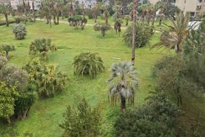 Appartamento pentavano Oristano