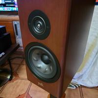 Coppia POLK AUDIO R200AE - 50esimo ANNIVERSARY!