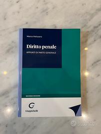 Libro di diritto penale