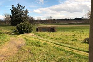 Leopoldina Sinalunga