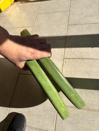 Bumper 10kgx2 Leonardo