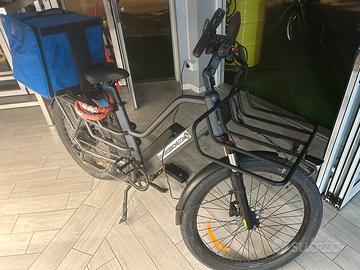 Ebike cargo doppia batteria