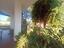 Immagine 28