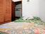 Immagine 23