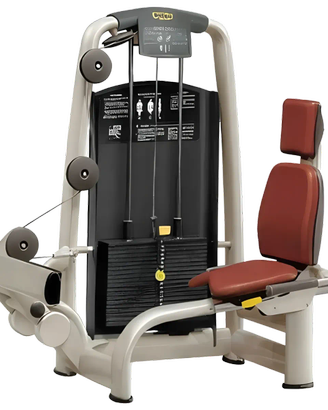 Technogym Selection Rotary Calf