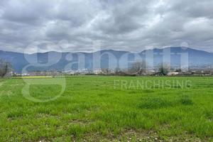 Terreno Agricolo Alife [Cod. rif 3296238VCG]