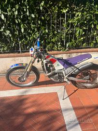 beta synt 260