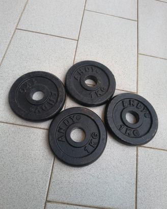 Pesi per manubri con diametro foro 2,5 cm