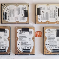 5x Hard Disk Interno Seagate da 500GB