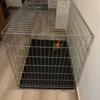 Box per cani pieghevole