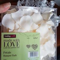 Petali finti avorio