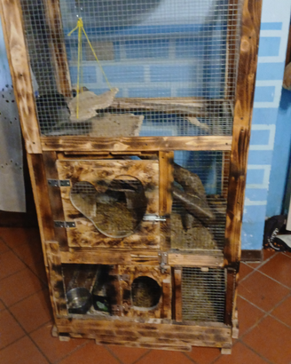 Animali