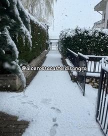 Vacanze in montagna