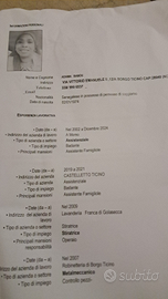 Badante o addetto pulizie