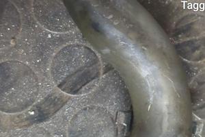 curva per carburatore 19 vespa special 