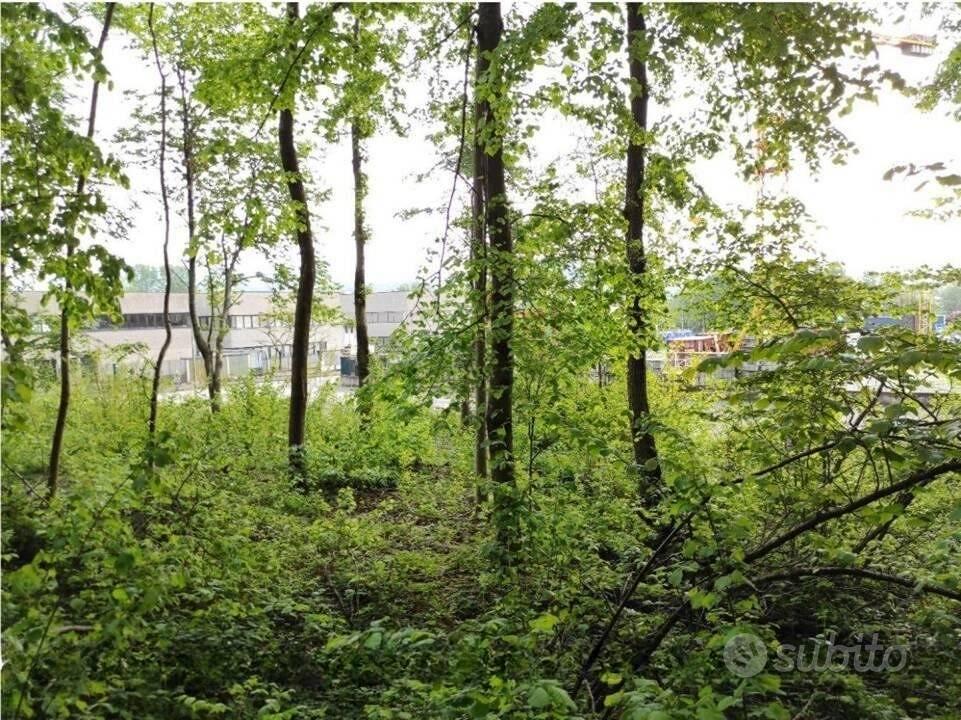 Immobile in asta di 3501 m² a Valmorea - Vista 3
