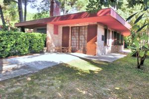 Villa Tra i Pini trilocale 6 pax giardino privato